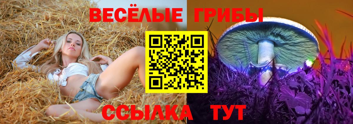 Галлюциногенные грибы Cubensis  где купить наркоту  Гудермес  Вход с VPN 